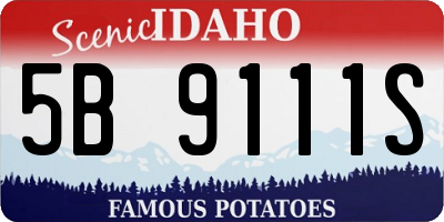 ID license plate 5B9111S