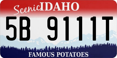 ID license plate 5B9111T