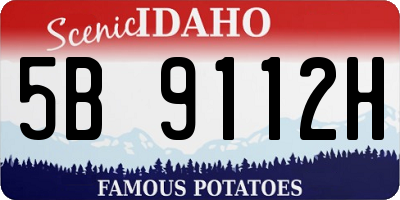 ID license plate 5B9112H