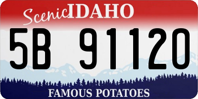 ID license plate 5B9112O