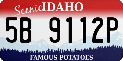 ID license plate 5B9112P