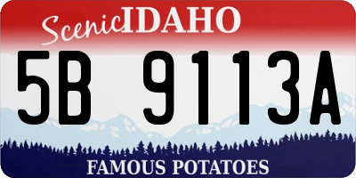 ID license plate 5B9113A