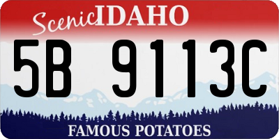 ID license plate 5B9113C