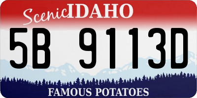 ID license plate 5B9113D