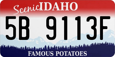 ID license plate 5B9113F