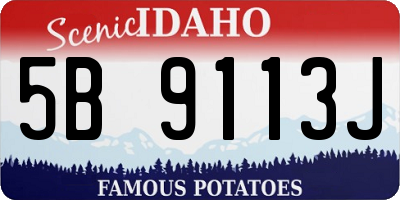 ID license plate 5B9113J