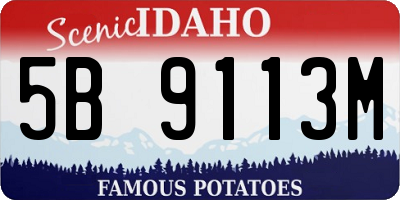 ID license plate 5B9113M