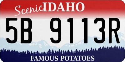 ID license plate 5B9113R