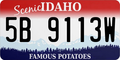 ID license plate 5B9113W