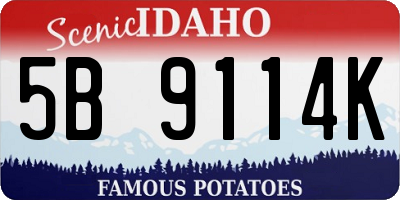 ID license plate 5B9114K