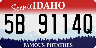 ID license plate 5B9114Q