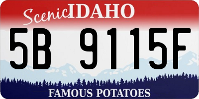 ID license plate 5B9115F