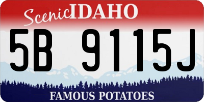 ID license plate 5B9115J