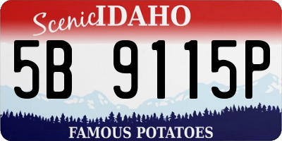ID license plate 5B9115P