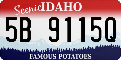 ID license plate 5B9115Q