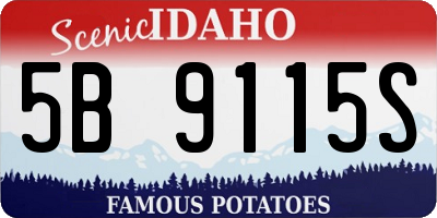 ID license plate 5B9115S