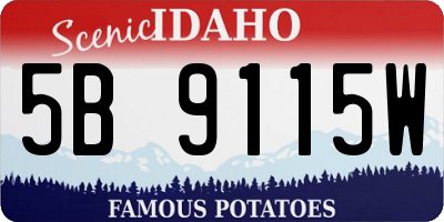 ID license plate 5B9115W