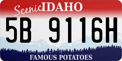 ID license plate 5B9116H