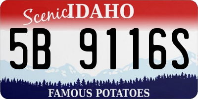 ID license plate 5B9116S