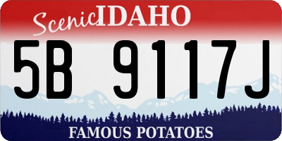 ID license plate 5B9117J