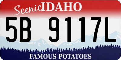 ID license plate 5B9117L