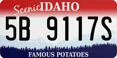 ID license plate 5B9117S