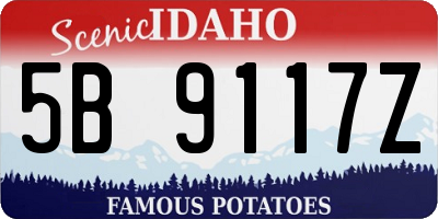 ID license plate 5B9117Z
