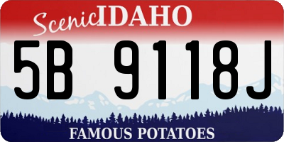 ID license plate 5B9118J