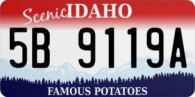 ID license plate 5B9119A