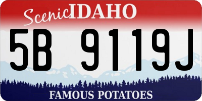 ID license plate 5B9119J