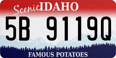ID license plate 5B9119Q