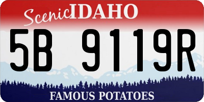 ID license plate 5B9119R