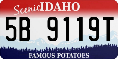 ID license plate 5B9119T