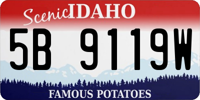 ID license plate 5B9119W