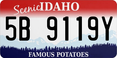 ID license plate 5B9119Y
