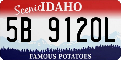ID license plate 5B9120L