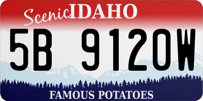ID license plate 5B9120W