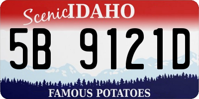 ID license plate 5B9121D