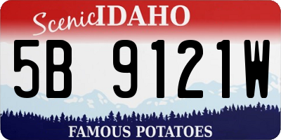 ID license plate 5B9121W