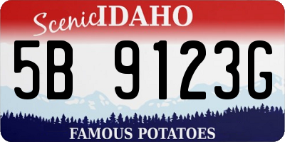 ID license plate 5B9123G