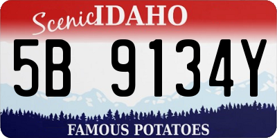 ID license plate 5B9134Y