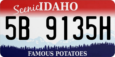 ID license plate 5B9135H