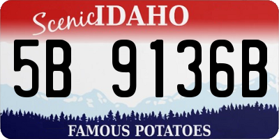 ID license plate 5B9136B