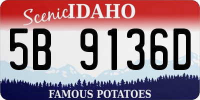 ID license plate 5B9136D