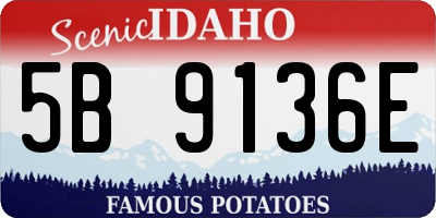 ID license plate 5B9136E