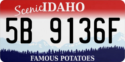 ID license plate 5B9136F