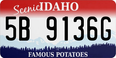 ID license plate 5B9136G