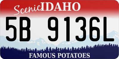 ID license plate 5B9136L