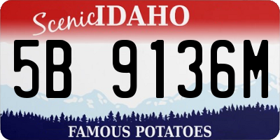 ID license plate 5B9136M
