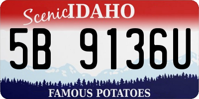 ID license plate 5B9136U